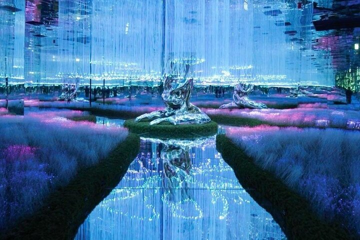 Immerse in a world where cosmic beauty mingles with interactive installations showcasing stunning artwork and illuminated settings. Explore diverse zones that transform perception and ignite creativity in every visitor.